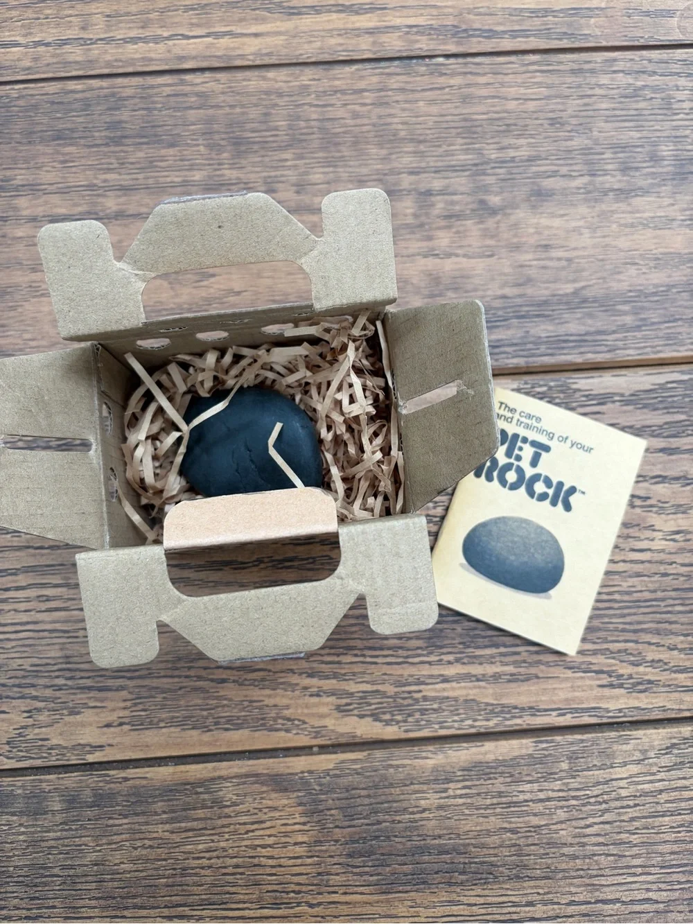 PET ROCK - Picture 2 of 2